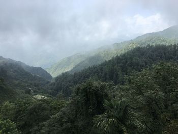 Scenic view of forest and mountains against sky