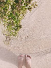 Low section of woman standing on beach