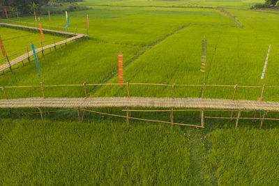 Scenic view of agricultural field