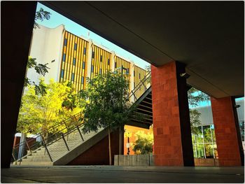 Trees in city against sky