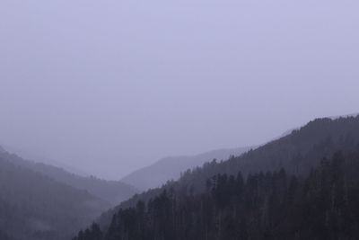 Scenic view of forest against clear sky