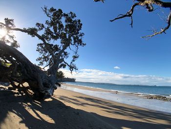 Scenic view of beach against sky