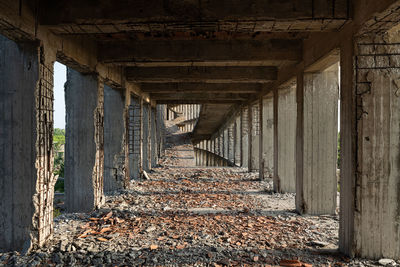 Abandoned summer camp