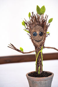 Close-up of small potted plant against wooden wall