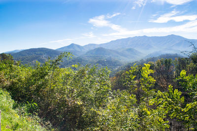 Scenic view of tree mountains against sky