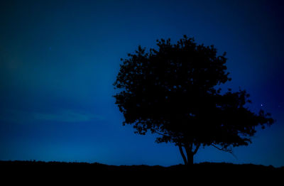 Low angle view of silhouette tree against sky at night