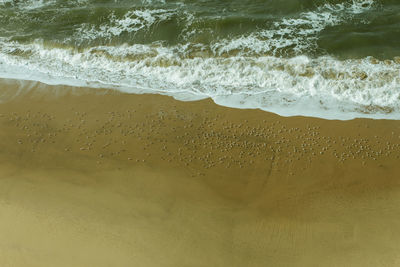 Close-up of waves on beach