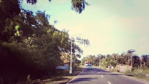 Road passing through trees