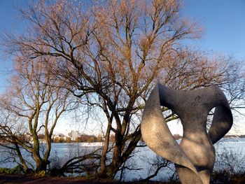 Statue of bare tree by river against sky