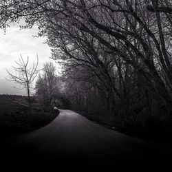 Road passing through bare trees