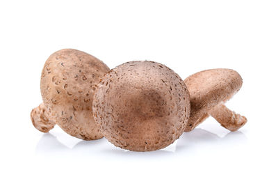 Close-up of raw mushrooms against white background