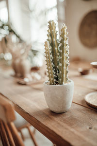 Close-up of potted plant on table