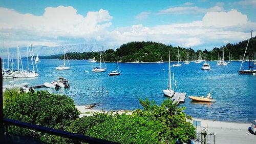 Boats moored at harbor