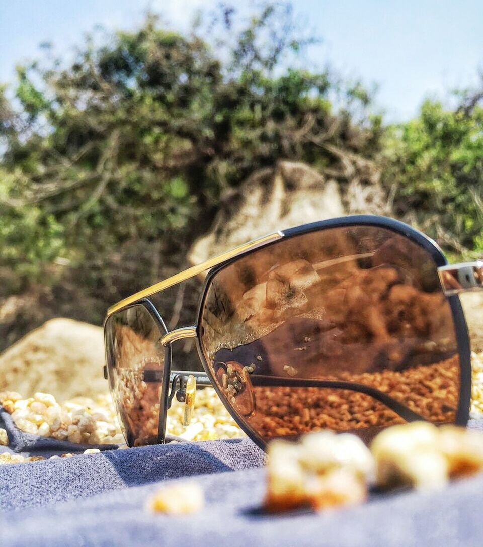 close-up, focus on foreground, selective focus, tree, metal, rusty, outdoors, day, sunlight, no people, abandoned, surface level, sky, still life, sunglasses, old, transportation, nature, damaged, wheel