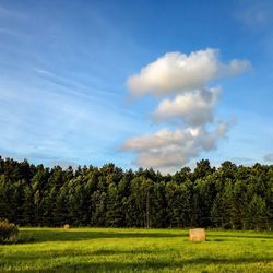 Scenic view of grassy field against cloudy sky