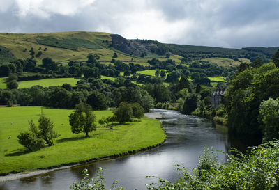 Scenic view of river amidst trees against sky