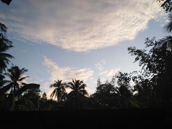 Low angle view of silhouette trees against sky at sunset