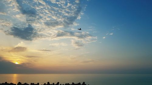 Low angle view of silhouette airplane flying over sea against sky