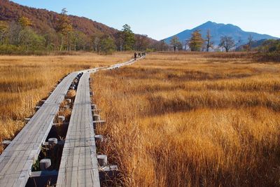 Scenic view of wooden country road against clear sky