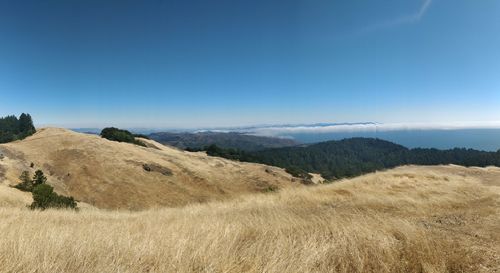 Scenic view of field against clear blue sky