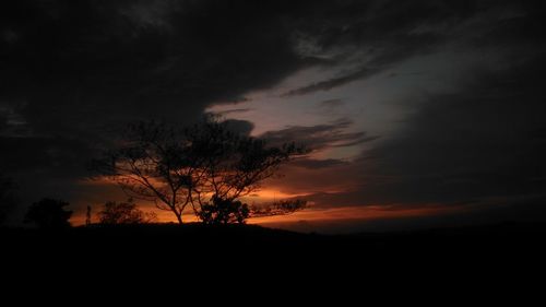 Silhouette trees on landscape against orange sky