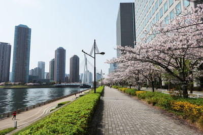 Footpath by river and buildings against clear sky