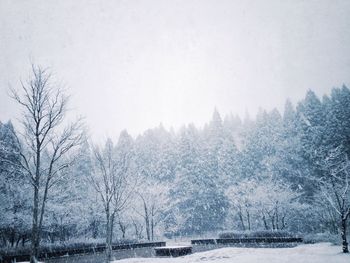 Scenic view of snow covered landscape
