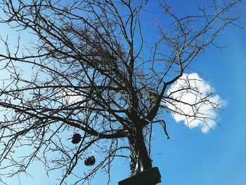 Low angle view of bare tree against clear blue sky