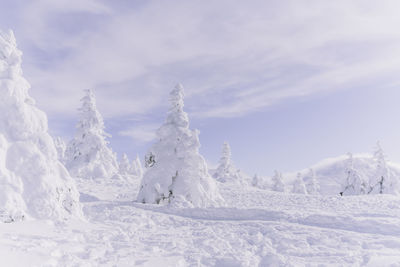 Snow covered land against sky