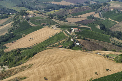 High angle view of agricultural field