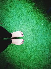 Low section of woman standing on grass