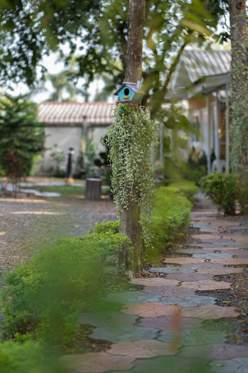 plant, green, tree, architecture, garden, nature, built structure, no people, water, building exterior, day, building, footpath, outdoors, flower, house, leaf, growth, yard, city, street