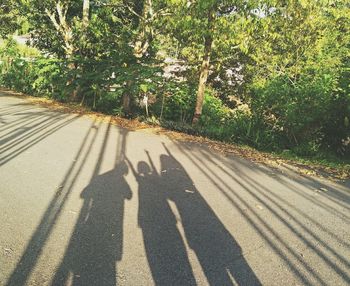 Shadow of man on road