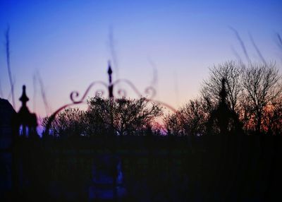 Illuminated trees against sky at night