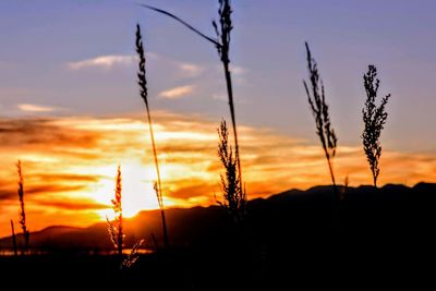 Scenic view of silhouette mountains against orange sky