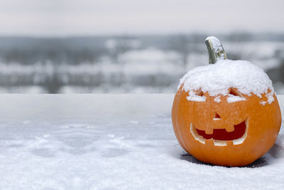 Close-up of pumpkin on snow