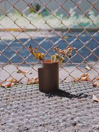 Close-up of chainlink fence