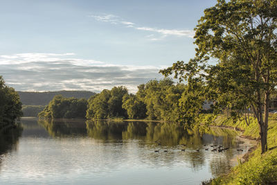 Scenic view of lake by trees against sky