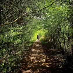 People walking on footpath