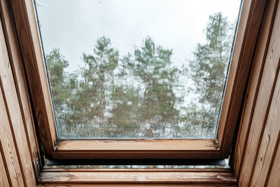 Reflection of trees on glass window