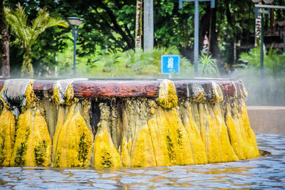 Wet yellow street by trees in forest