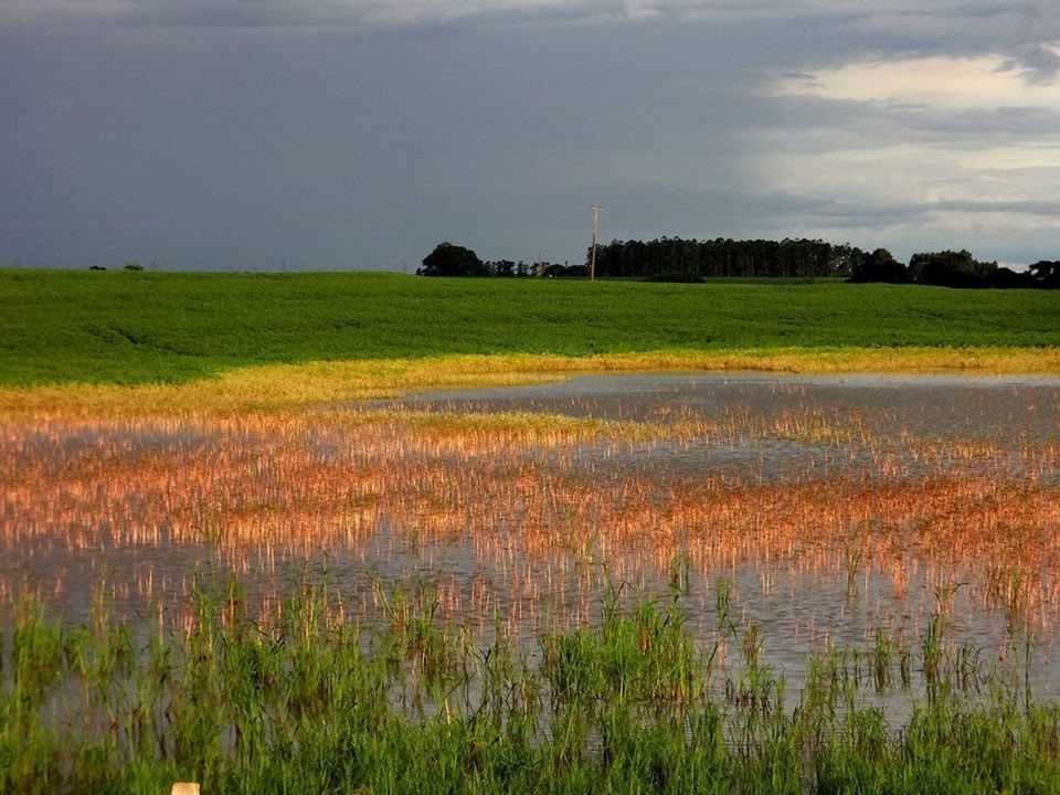 SCENIC VIEW OF GRASSY FIELD AGAINST SKY