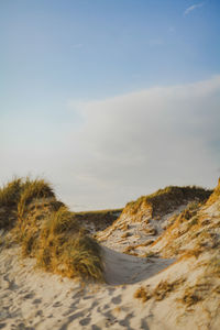 Scenic view of beach against sky