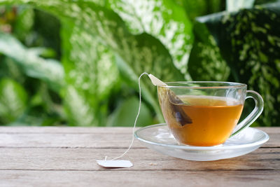 Close-up of tea served on table