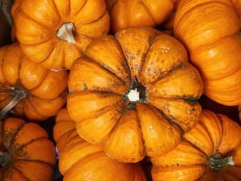 Full frame shot of pumpkins at market stall