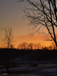 Silhouette bare trees on field against sky during sunset