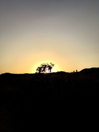 Silhouette tree on landscape against clear sky at sunset