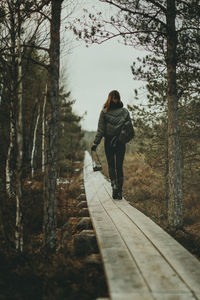 Rear view of woman walking amidst trees in forest
