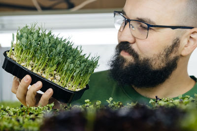 Young male farmer growing microgreens on indoor vertical garden. man small business owner