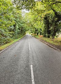 Empty road amidst trees